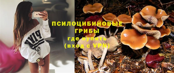 дживик Волосово