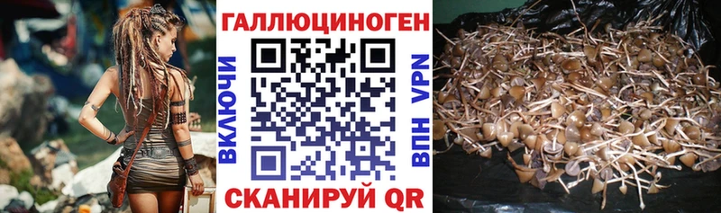 Псилоцибиновые грибы Magic Shrooms  blacksprut ONION  Гагарин 