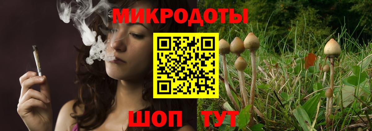 Псилоцибиновые грибы прущие грибы Гагарин